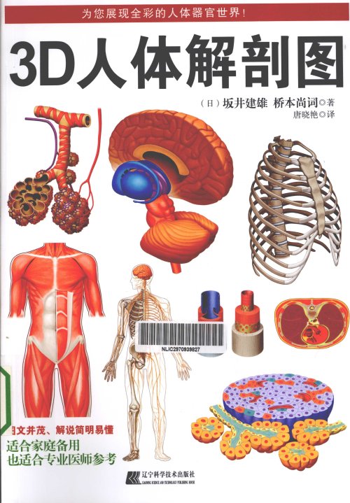 3D人体解剖图,（日）坂井建雄，桥本尚词著；唐晓艳译_13414514.jpg