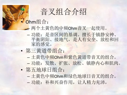JingLuoYinChaJieShao-XuJia20-10.JPG