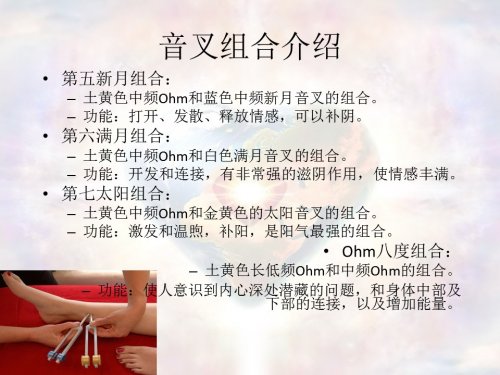 JingLuoYinChaJieShao-XuJia20-11.JPG